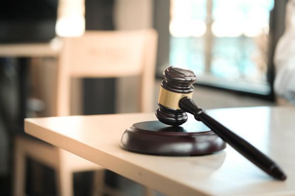 警方打击网络犯罪：典型案例与法律分析