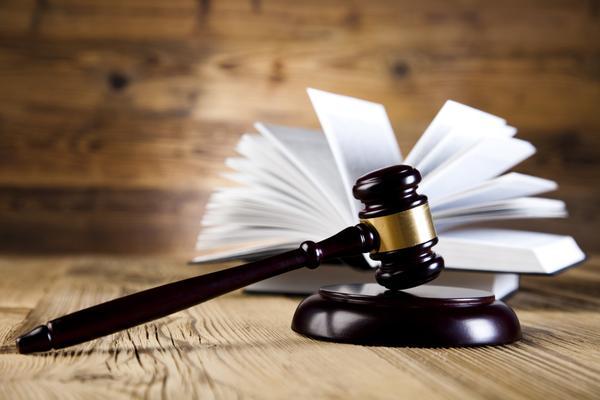 15人涉嫌违法犯罪被立案侦查 图2