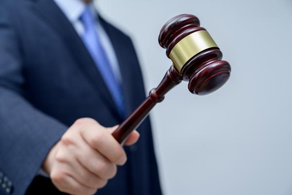 行政法审判庭长先进事迹：依法治国的先锋与