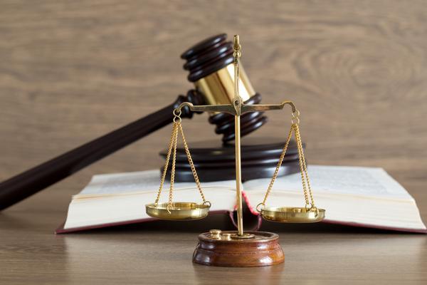 行政案件移送法律条款适用与实践路径研究