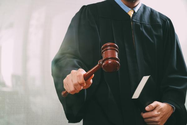 《500个刑法罪名全解析：掌握刑法命名的艺术》图1