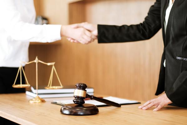 司法部对刑法罪名命名的原则与实践