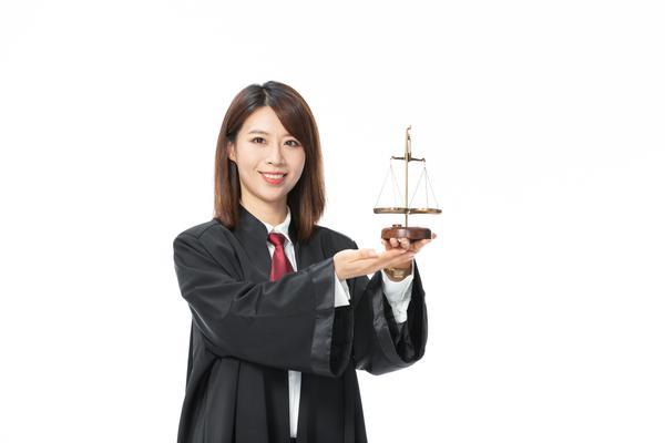 刑事诉讼律师顾问|专业刑事辩护法律服务 图1