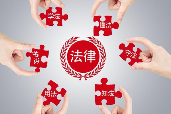 网络侦查犯罪的法律适用与实践探讨