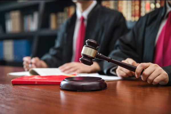深入解析：公务员法是特别行政法的本质与实践 图2