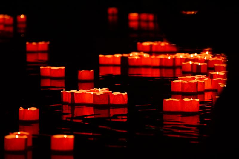 熊咬死人国家赔偿案：探究动物致人死亡责任归属图1